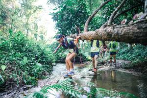 BIB: 
                            <button type="button" onclick="openModal(25441757)" class="btn btn-primary btn-sm float-right btn-popup" data-toggle="modal" data-target=".modal-high-quality">
                        <i class="fas fa-shopping-cart"></i> Add to Cart
                    </button>
                                            <button type="button" onclick="isThisMe(25441757, true)" class="btn btn-success btn-sm float-right btn-popup btn-isme hidden" data-toggle="tooltip" data-placement="bottom" title="นี่คือรูปของคุณใช่ไหม คลิกที่นี่เพื่อเอาเข้าอัลบั้ม">
                        <i class="fas fa-plus"></i> Add to album
                    </button>
                    <button type="button" onclick="isThisMe(25441757, false)" class="btn btn-warning btn-sm float-right btn-popup btn-isnotme hidden">
                        <i class="fas fa-ban"></i> Remove from album
                    </button>